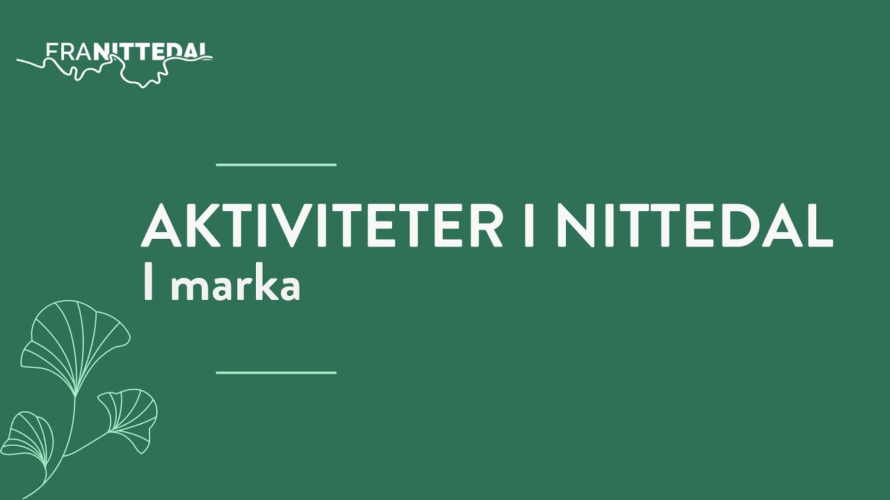Turkameratene, BUA og fiskekort