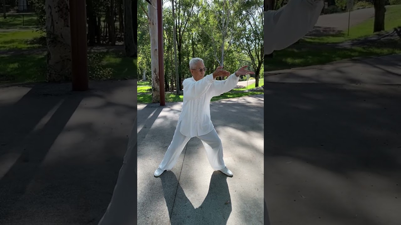传統陈氏太极拳套路精编十六式Chen’s Taichi Compiled Style 16 Shifu Lin (林峰演练） Demonstrate 