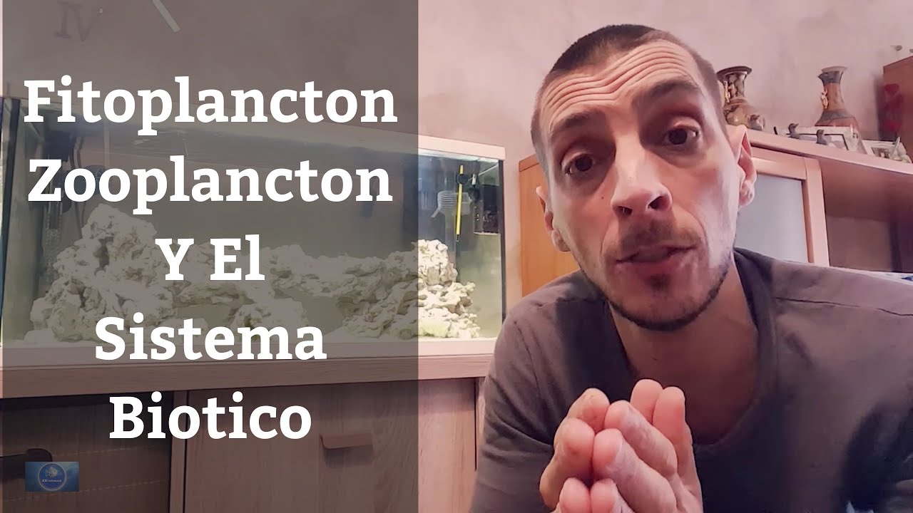 🔵 Fitoplancton Y Zooplancton Marino, El Sistema Biótico,Acuario Marino Paso Paso 1x10 (Acuarios MB)