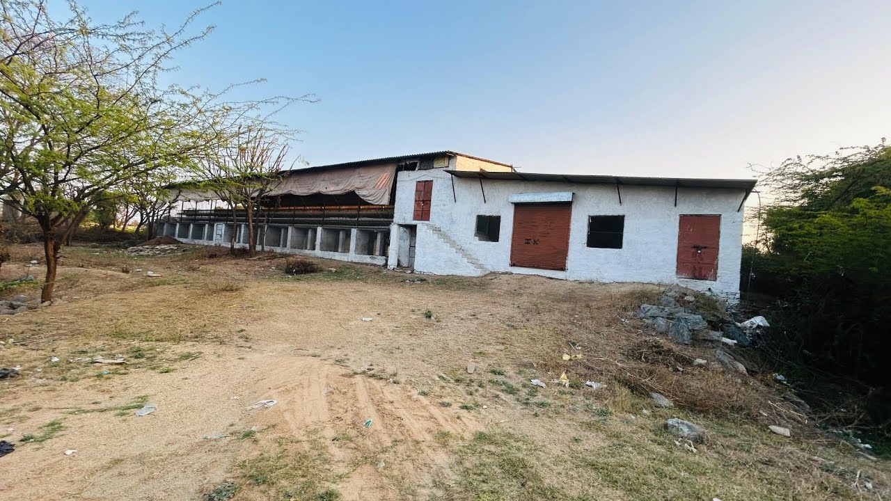 Aaj Kari naye farm ki safai 🤧 |Crazy Tomy Vlogs #vlog #dailyvlog #farming #farmvlog #experiment 