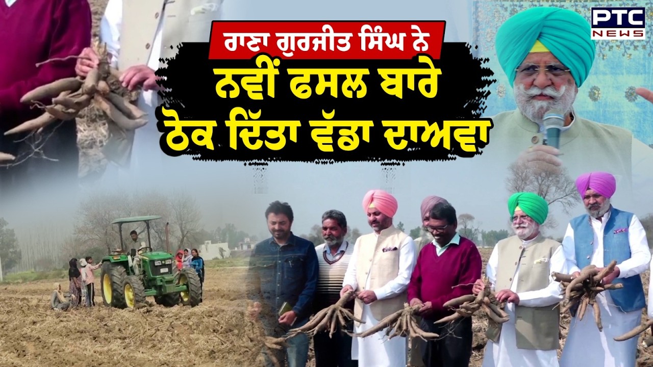 Rana Gurjit Singh ਨੇ ਨਵੀਂ ਫਸਲ ਬਾਰੇ ਠੋਕ ਦਿੱਤਾ ਵੱਡਾ ਦਾਅਵਾ, ਕਿਸਾਨ ਇਸ ਫਸਲ ਨਾਲ ਹੋਣਗੇ ਮਾਲੋ-ਮਾਲ |