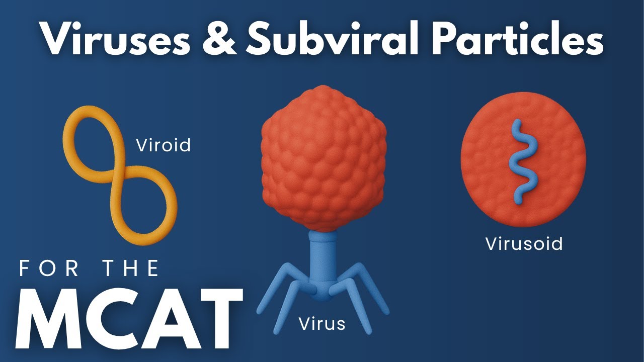 MCAT Viruses and Subviral Particles Explained in 4 Minutes