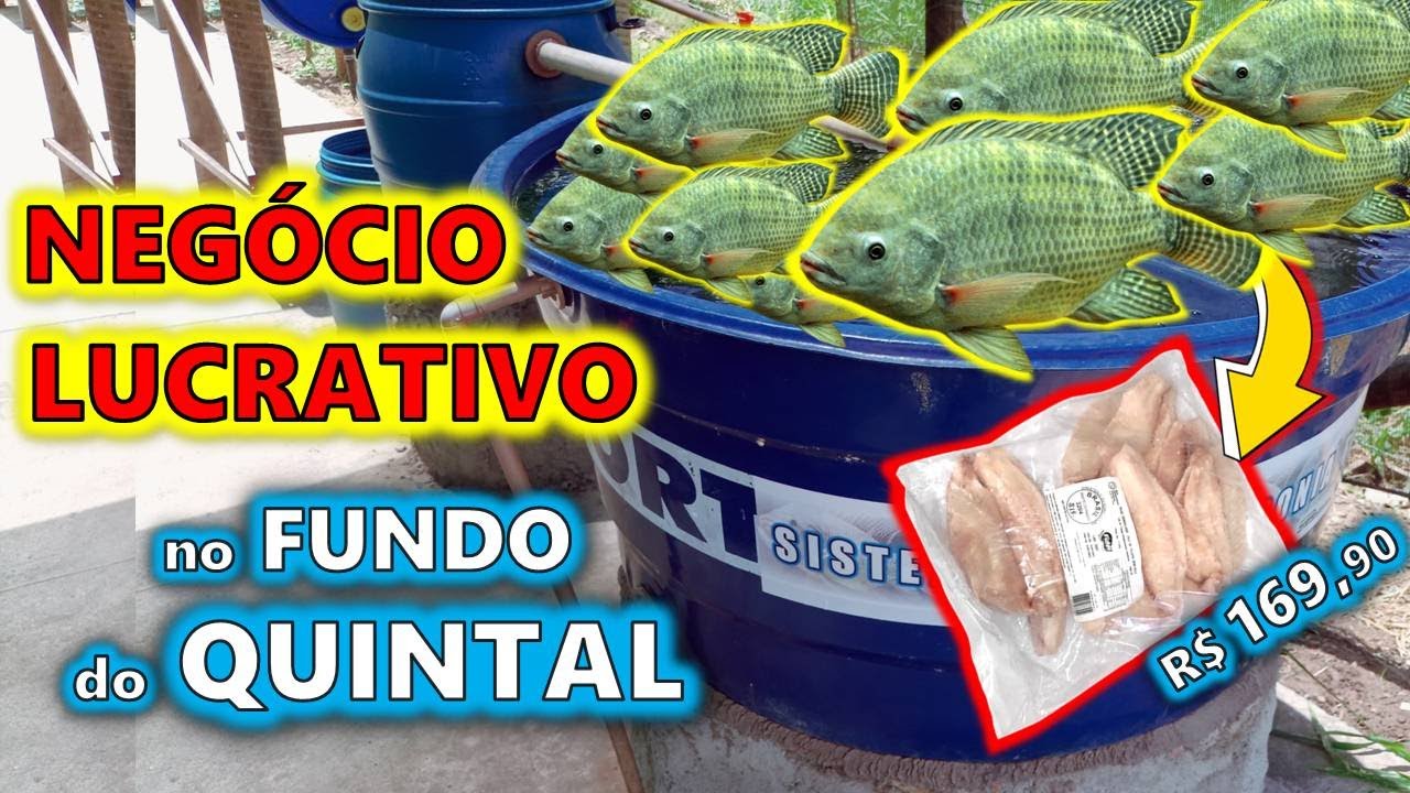 🐟 КАК СДЕЛАТЬ СИСТЕМУ ДЛЯ РАЗВЕДЕНИЯ РЫБ В АКВАРИУМЕ - ПОЛНЫЙ КЛАСС 🐟🐟🐟