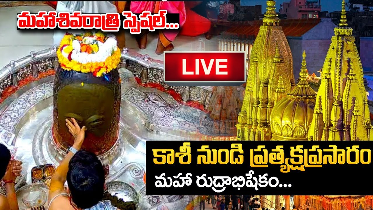 LIVE : Kashi Vishwanath Live Darshan | Maha Shivarathri Special | 26-02-2025 | #shivaratri
