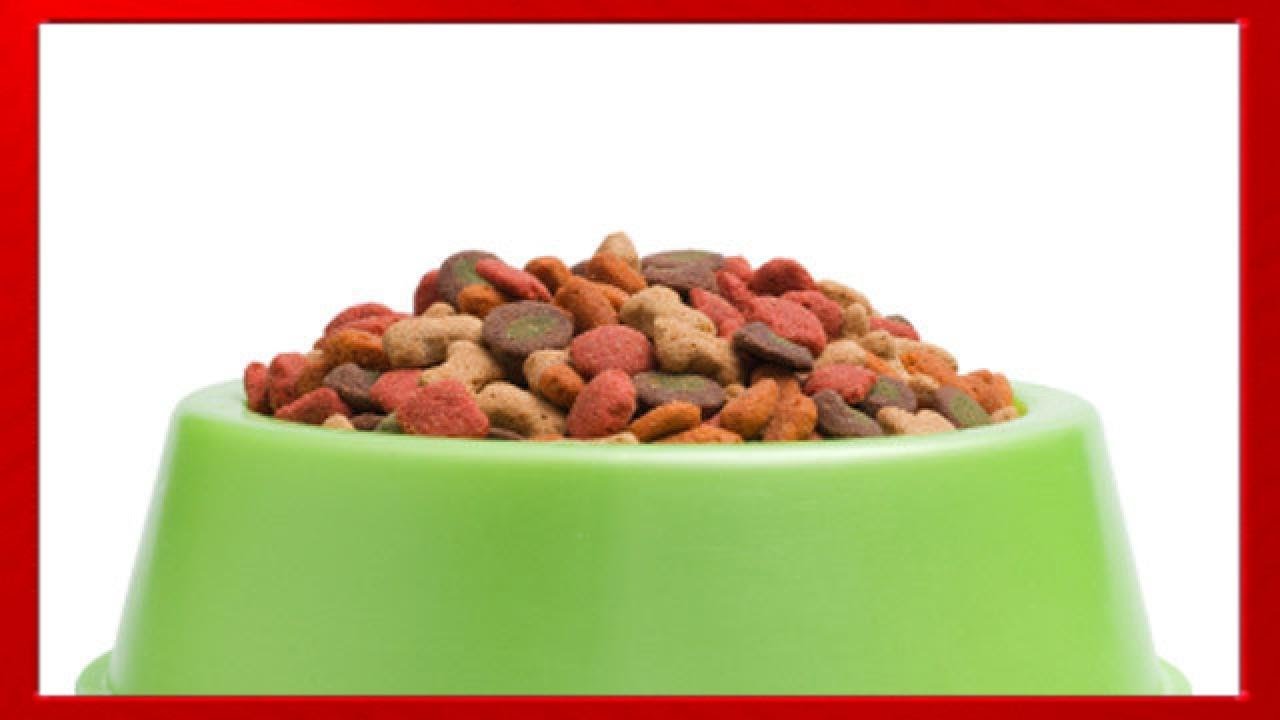 Comida &eacute;tnica para animales