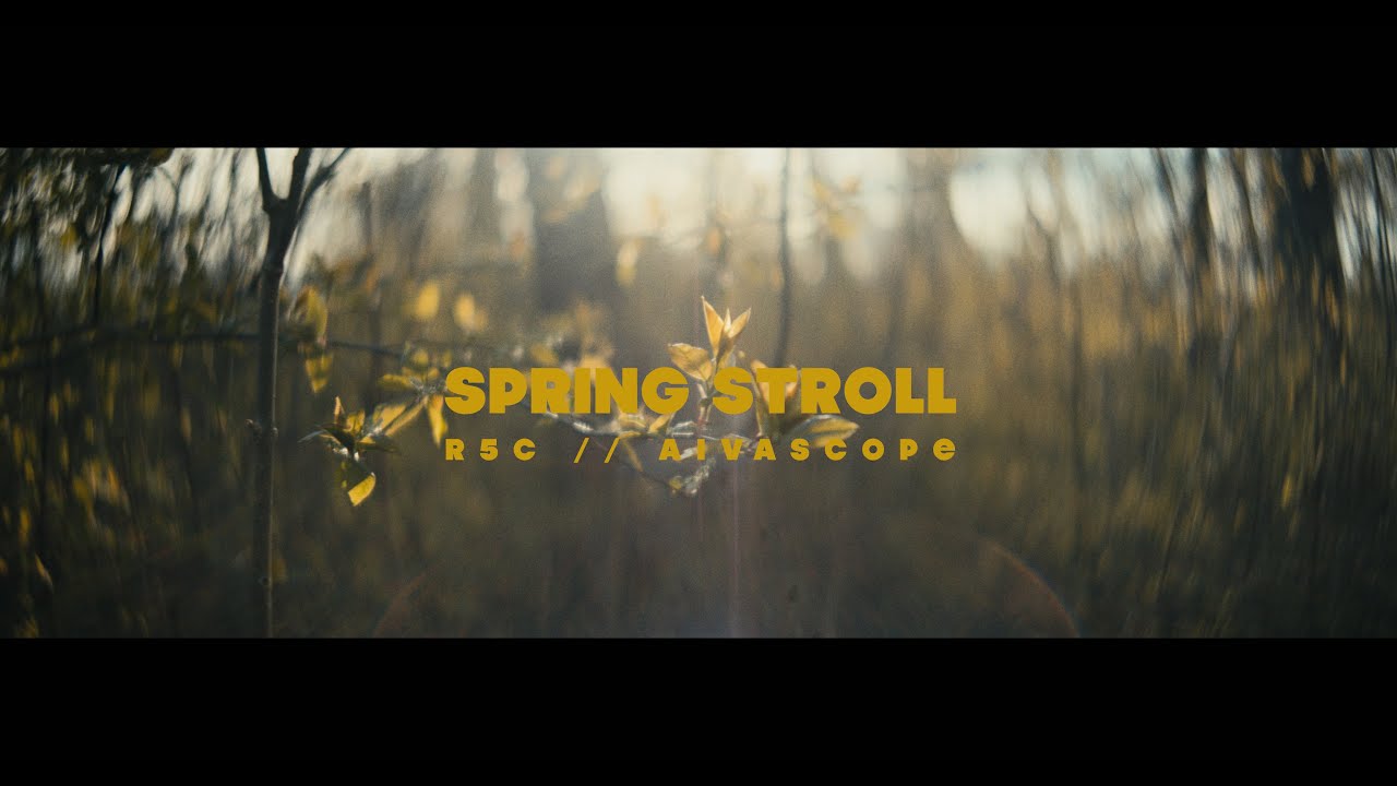 SPRING STROLL // R5C AIVASCOPE