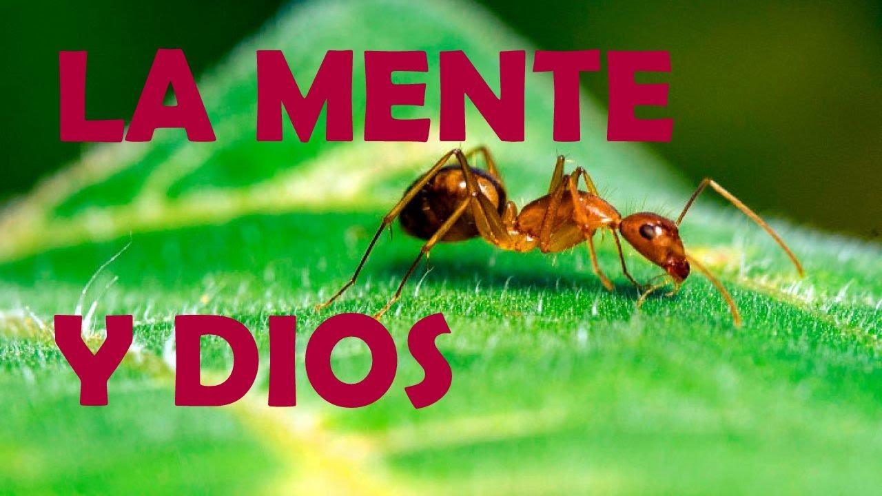 LA MENTE Y DIOS