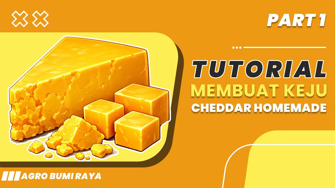 Membuat keju Cheddar Homemade dari Susu Segar -  Bagian 1