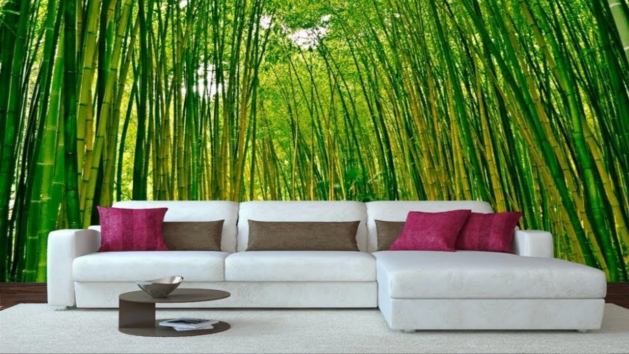 Unique Wall Mural Ideas That Will Take You to Another World