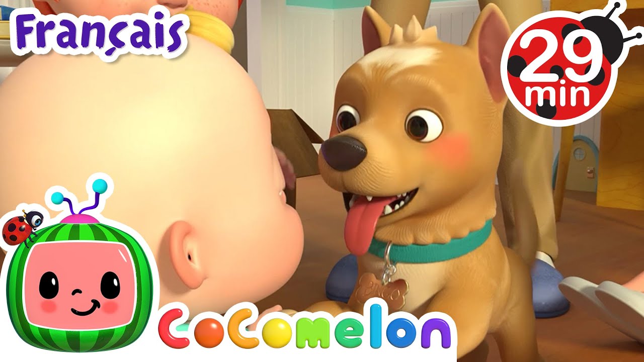 Bingo petit chien | CoComelon en Fran&ccedil;ais | Chansons pour b&eacute;b&eacute;s
