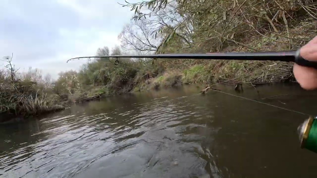 Fancy a walk up the river?