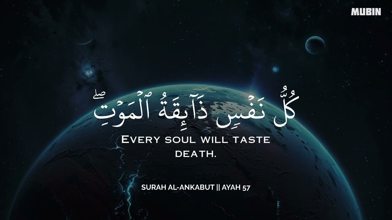 أرح سمعك وقلبك بالقرآن - تلاوة تقشعر لها الأبدان بصوت محمد هشام | Mohamed Hesham | 🖤🎧