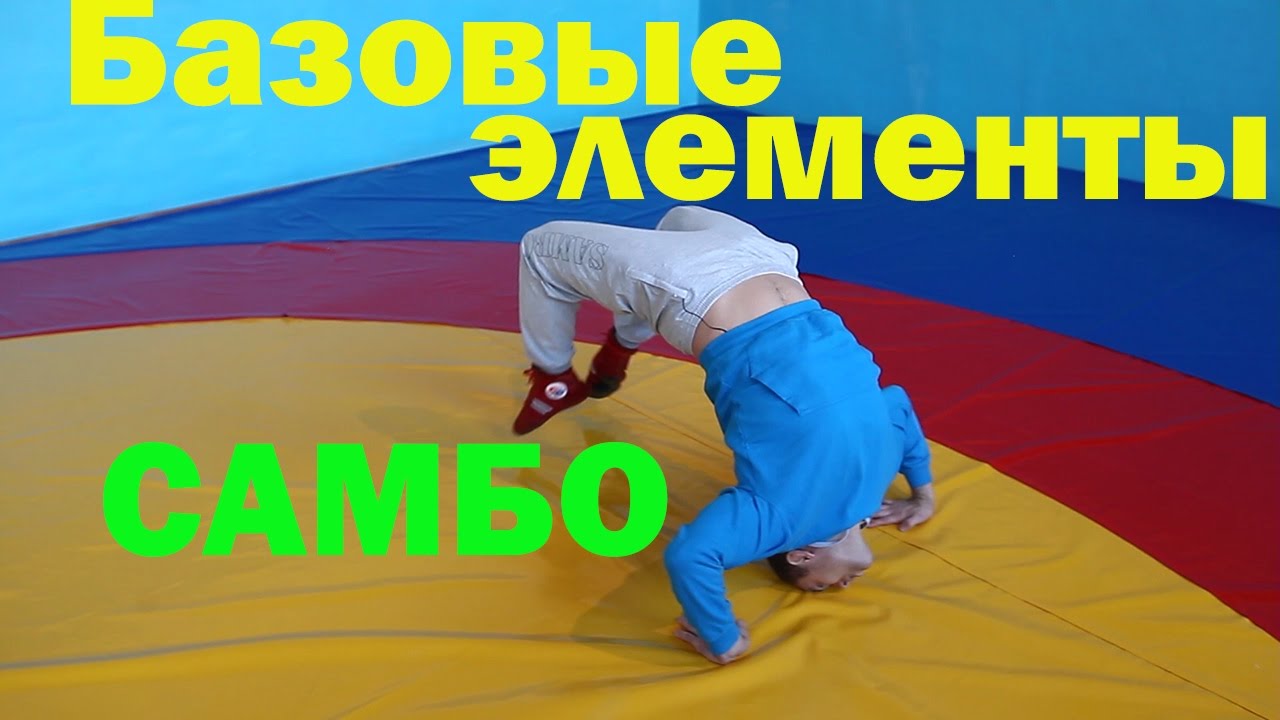 Тренировка самбо - базовые элементы акробатики \ сила партера