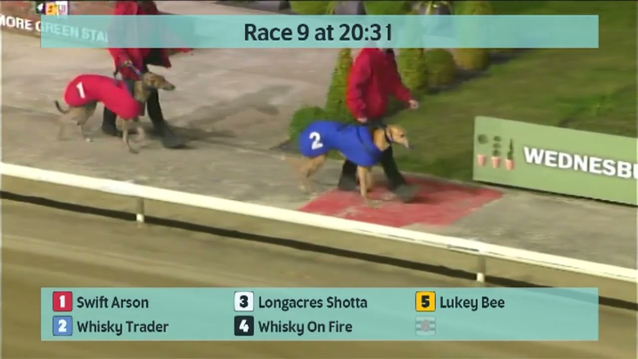 Monmore Greyhounds Races on 5th March 2026
