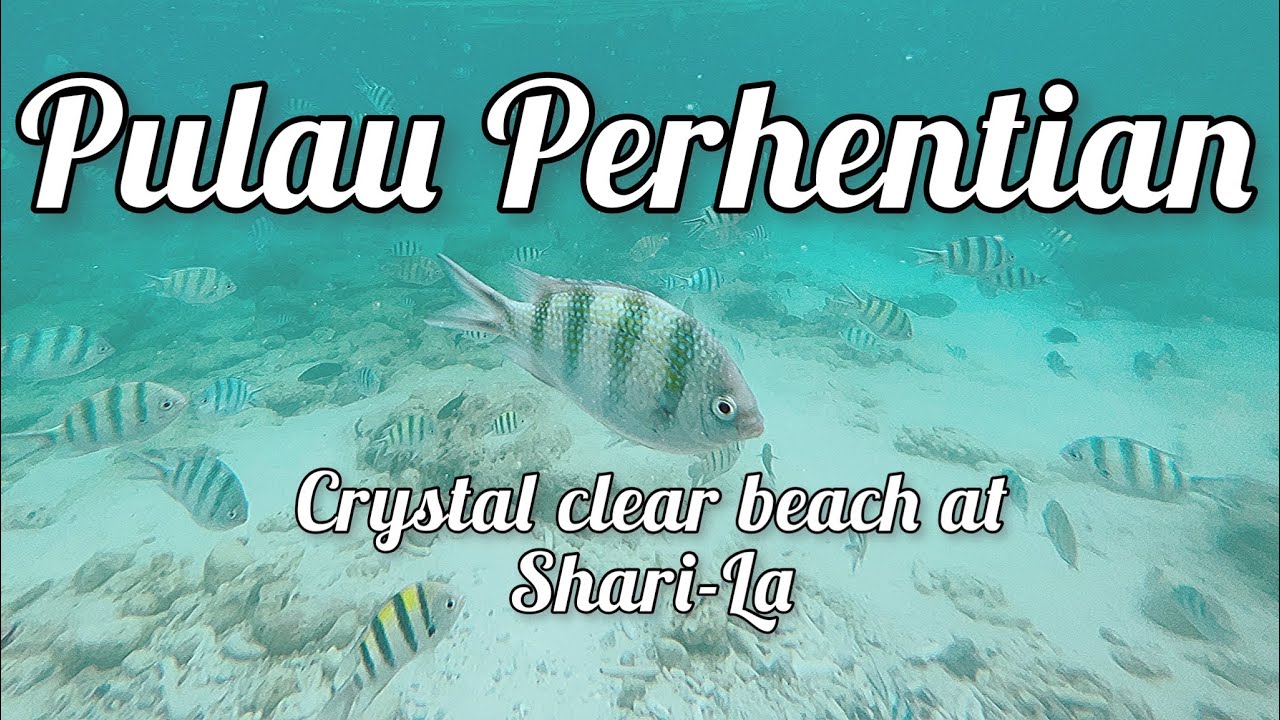 Pulau Perhentian | Crystal Clear Beach at Shari-La Resort | Last Day