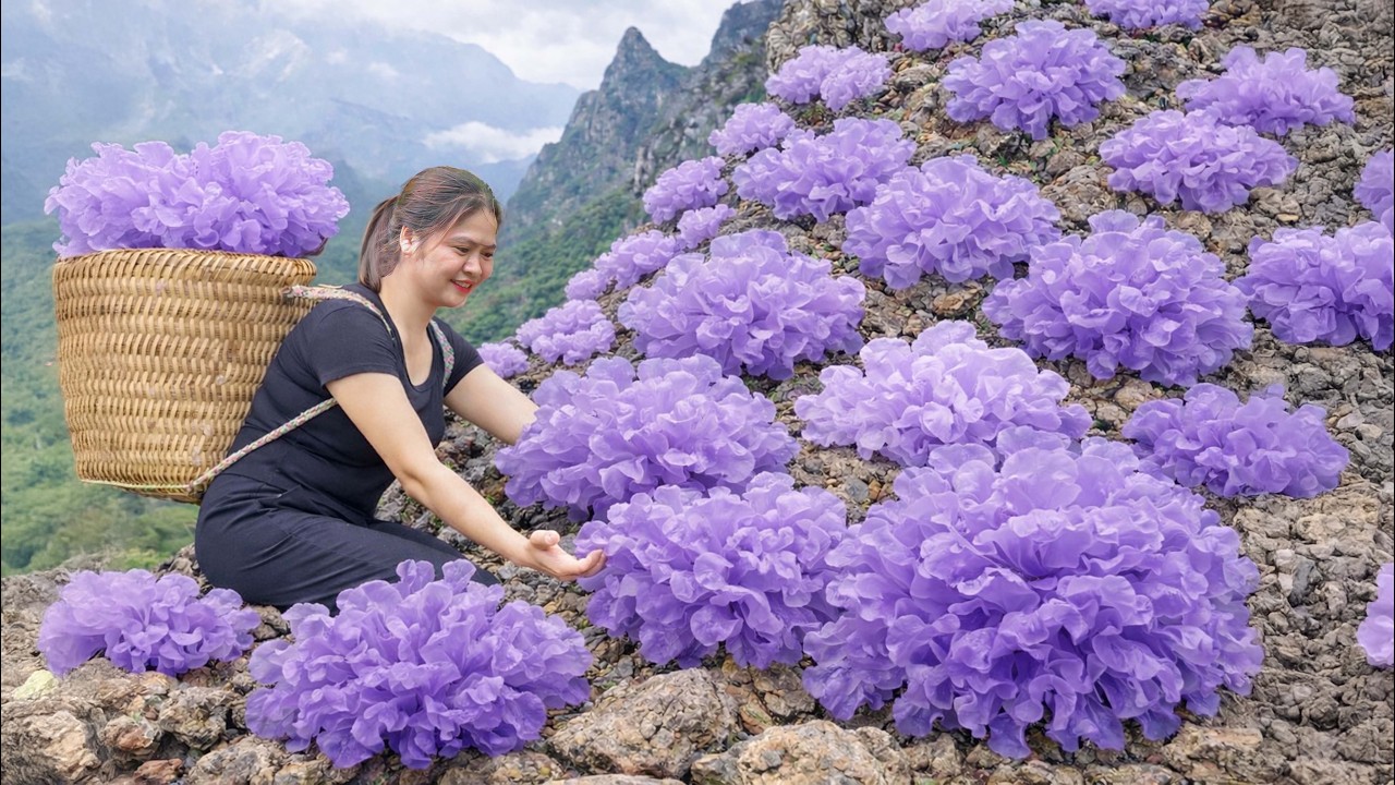 Harvesting Fresh Wild Mushrooms &ndash; Villagers Rush to Buy, SOLD OUT in Minutes