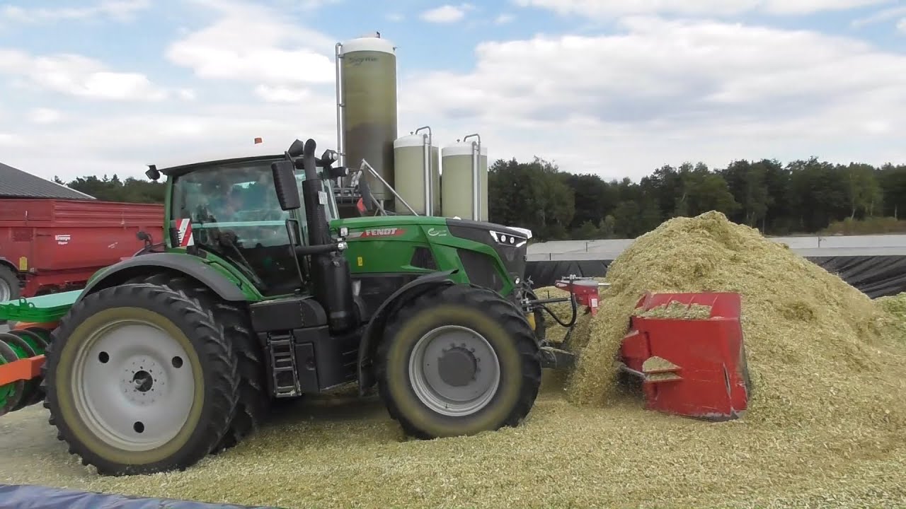Kappelhoff chopping corn