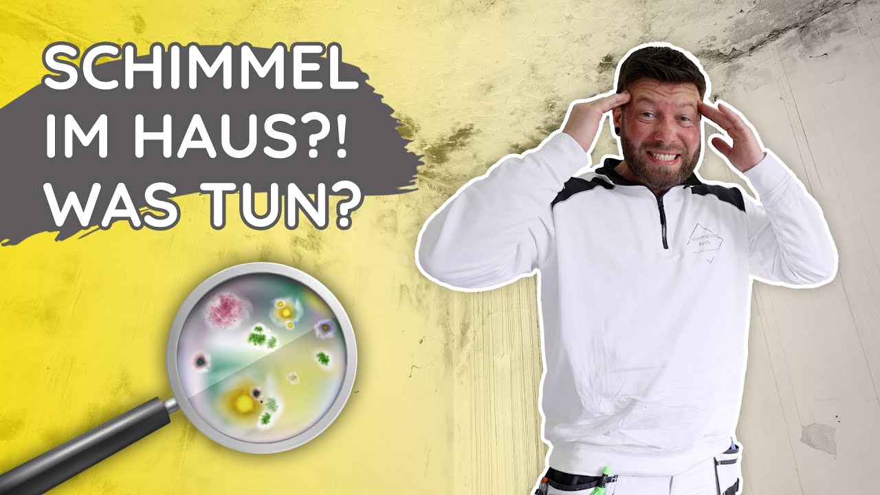 Schimmel an den Wänden, was sollte ich tun !!!