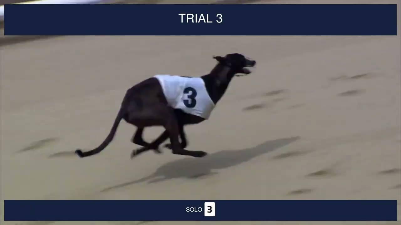 Perry Barr Trials on 5th June 2025