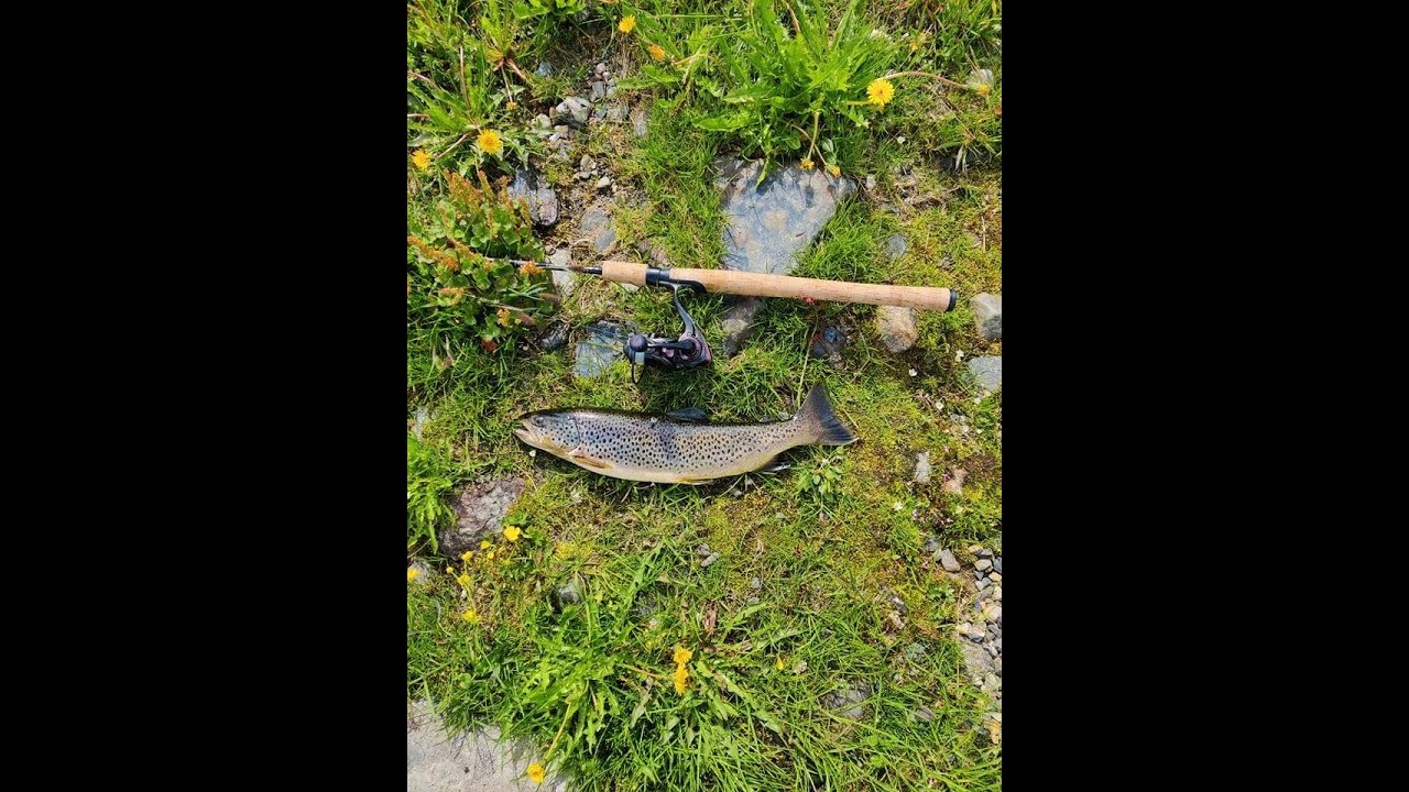 Kilosfisk på Hardangervidda