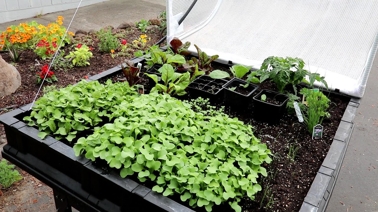 My New Vegepod Raised Bed Planter