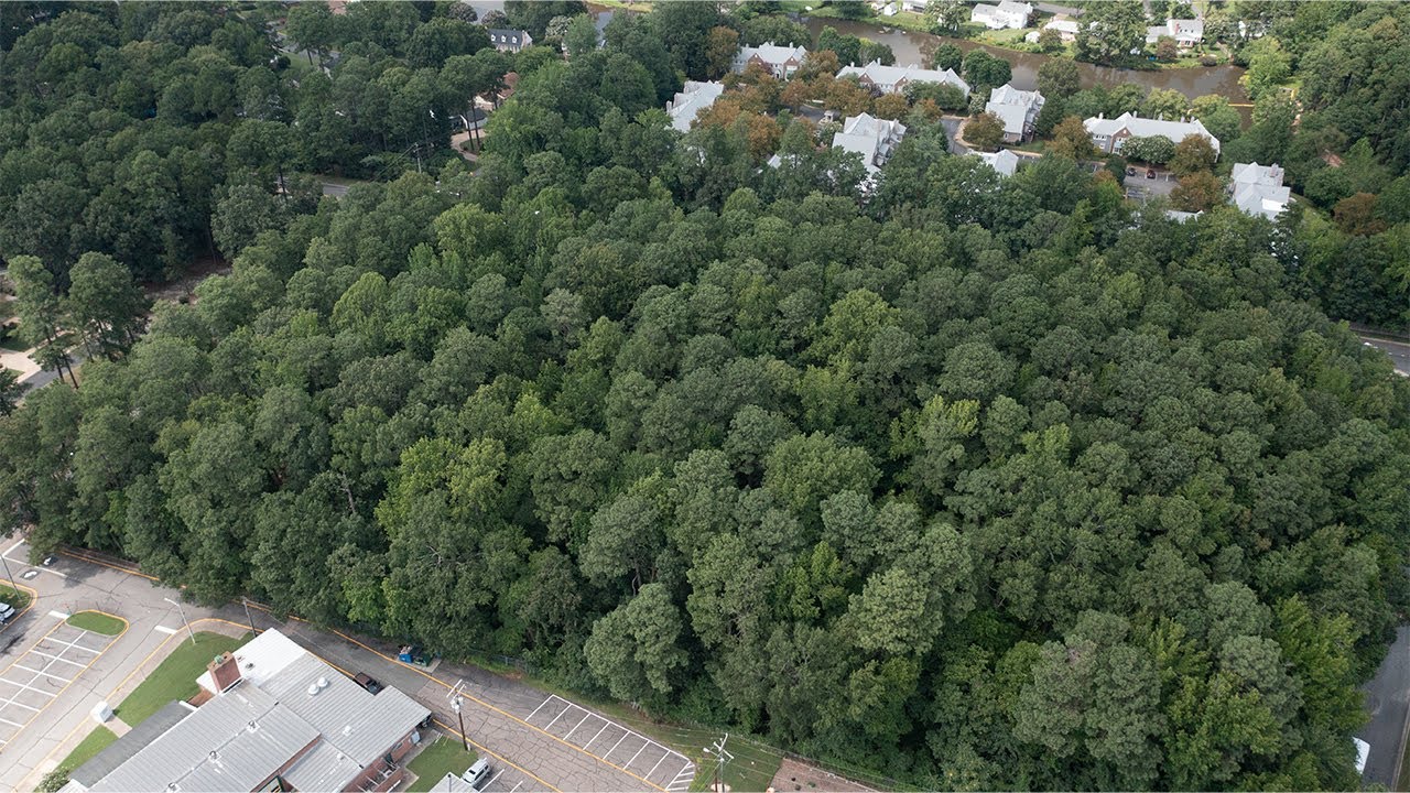 'We care about what you want in this community'; Henrico acquires 6 acres on Patterson for park