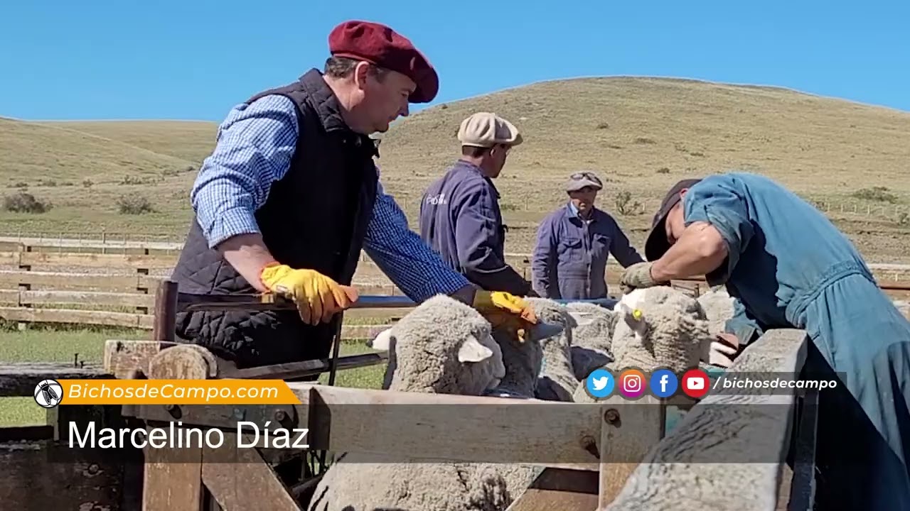 Marcelino Díaz, administrador de Estancia Cóndor en Río Gallegos, Santa Cruz