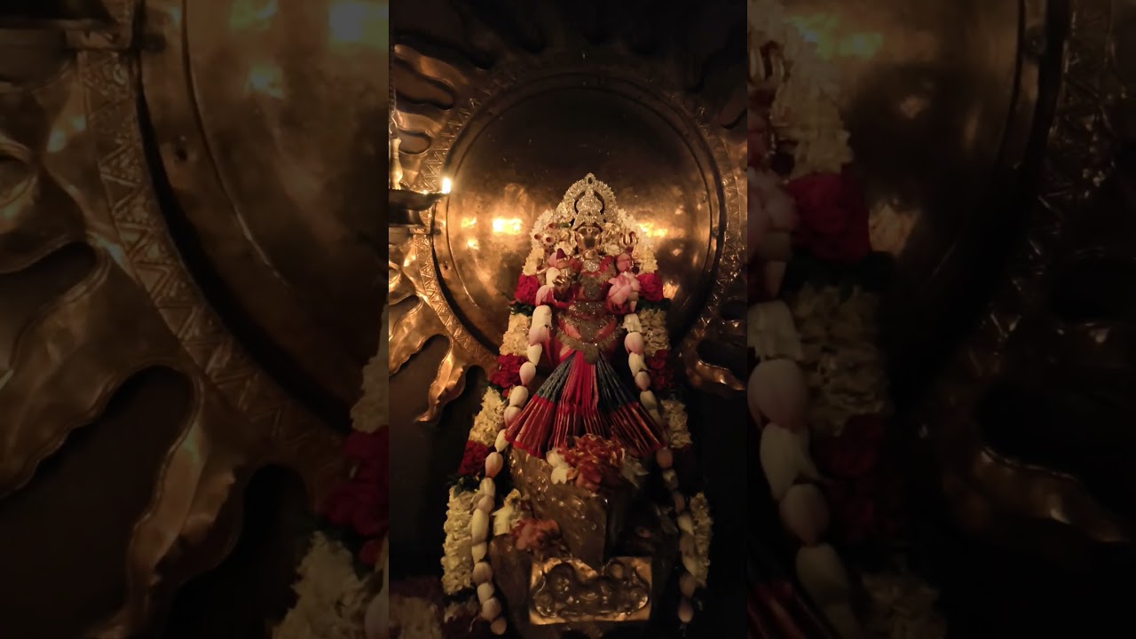 Varahi Dharisanam #varahi #yagarishi #trishakthivarahipeedam