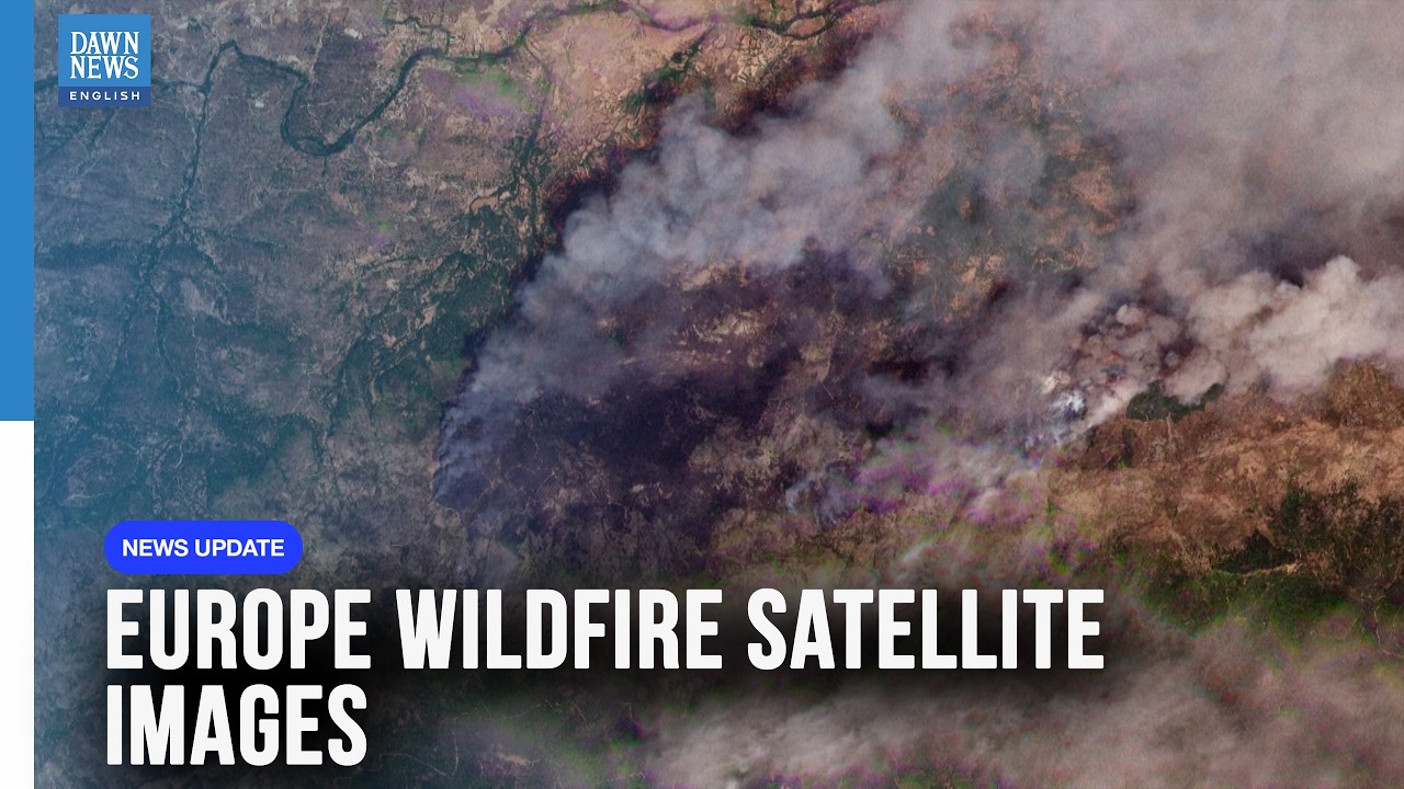 Before and After Satellite Images Reveal Europe's Wildfire Devastation | Dawn News English
