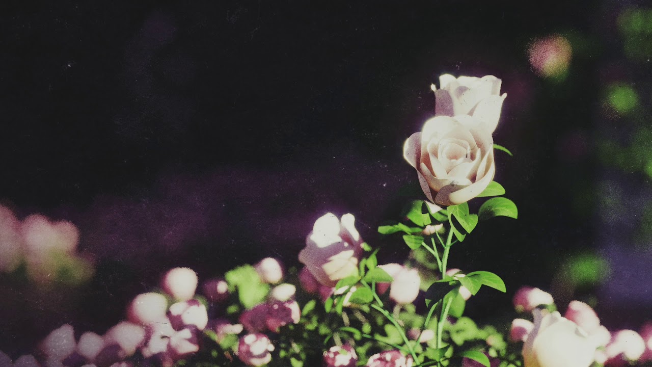 Before You Exit - Looking Glass (Official Audio)