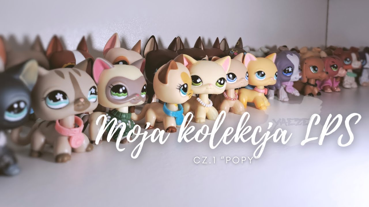 LPS: Moja kolekcja LPS! | Cz. 1 "Popy"