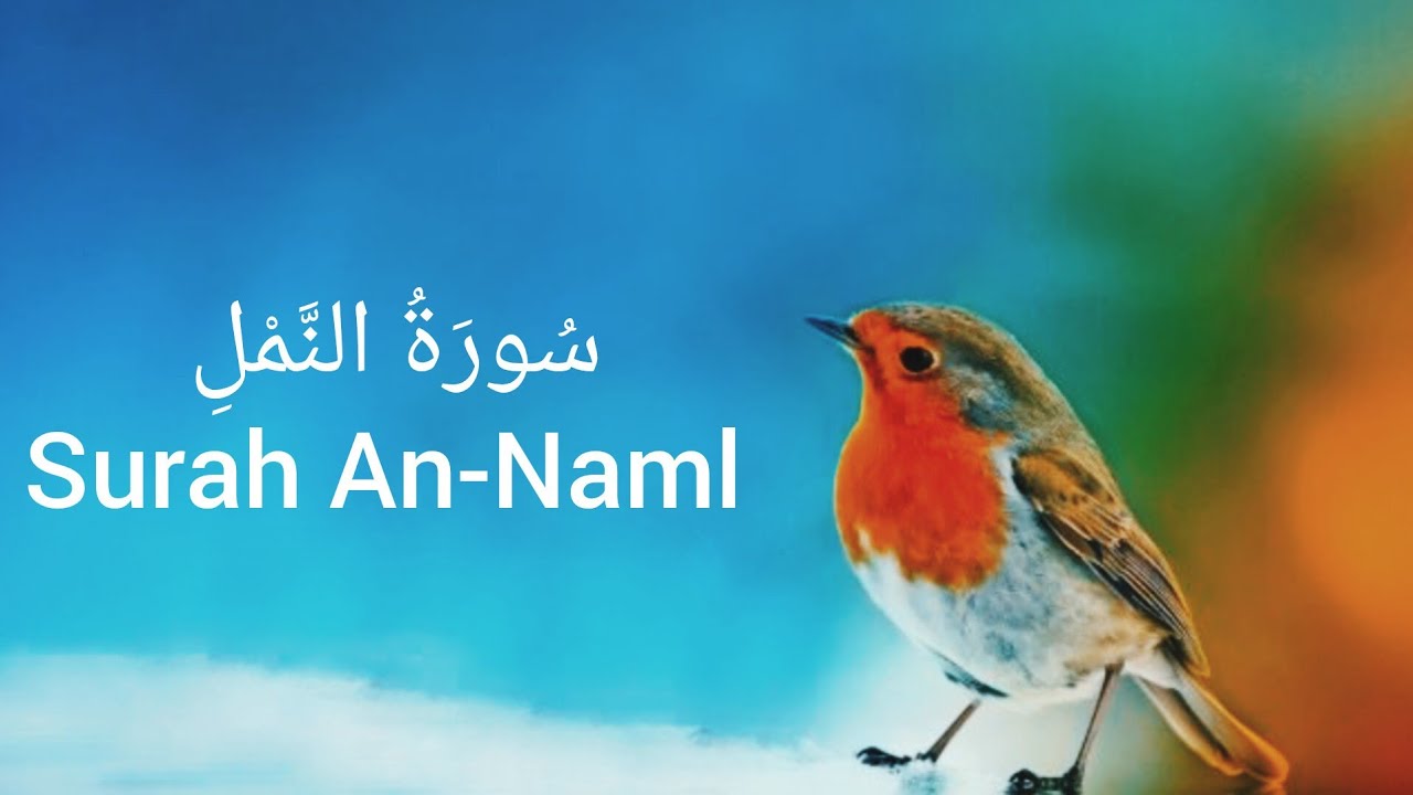 سورة النمل ✨ أسرار مدهشة ستغيّر نظرتك للحياة | تلاوة تهز القلوب