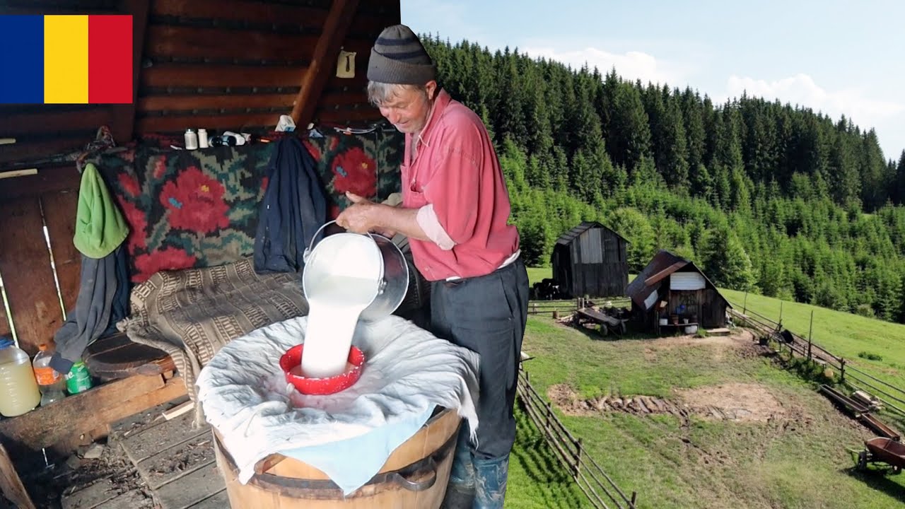 Viata la o stana din Romania! Baciul ne-a gatit balmoș | Bucovina