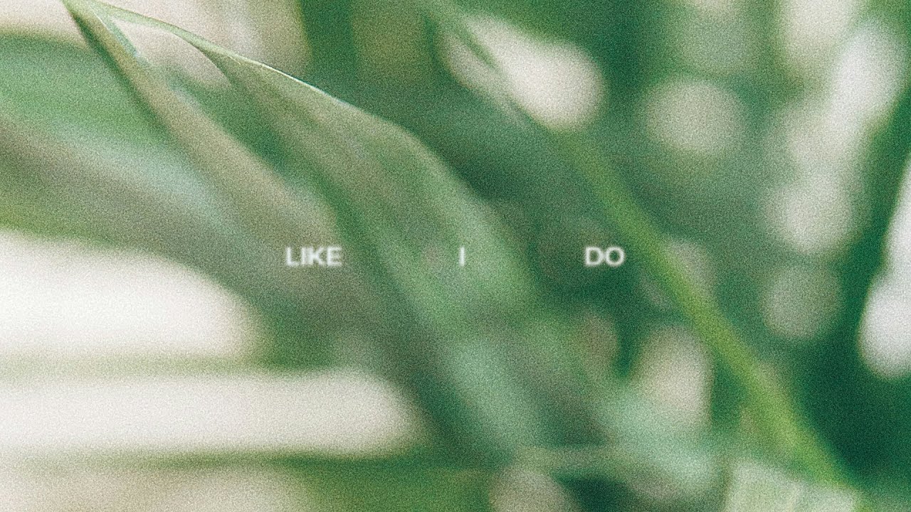 Paradog - Like I Do (Audio)