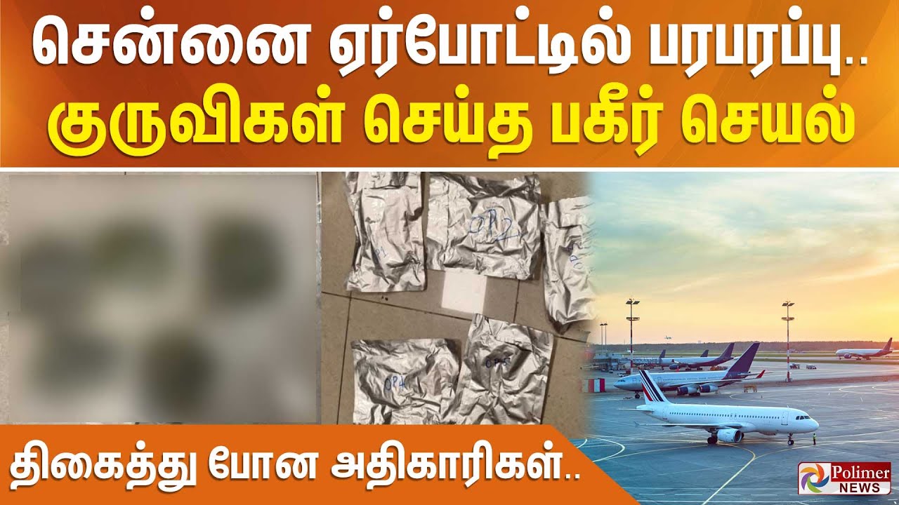 சென்னை  ஏர்போட்டில் பரபரப்பு.. குருவிகள் செய்த பகீர் செயல் - திகைத்து போன அதிகாரிகள் ..
