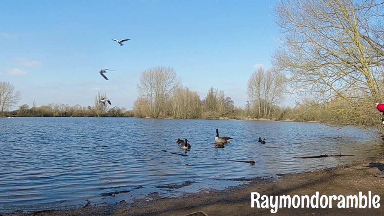 Shardlow to St Chad's water (Derbyshire) Hike with Kids Part 2 - 2