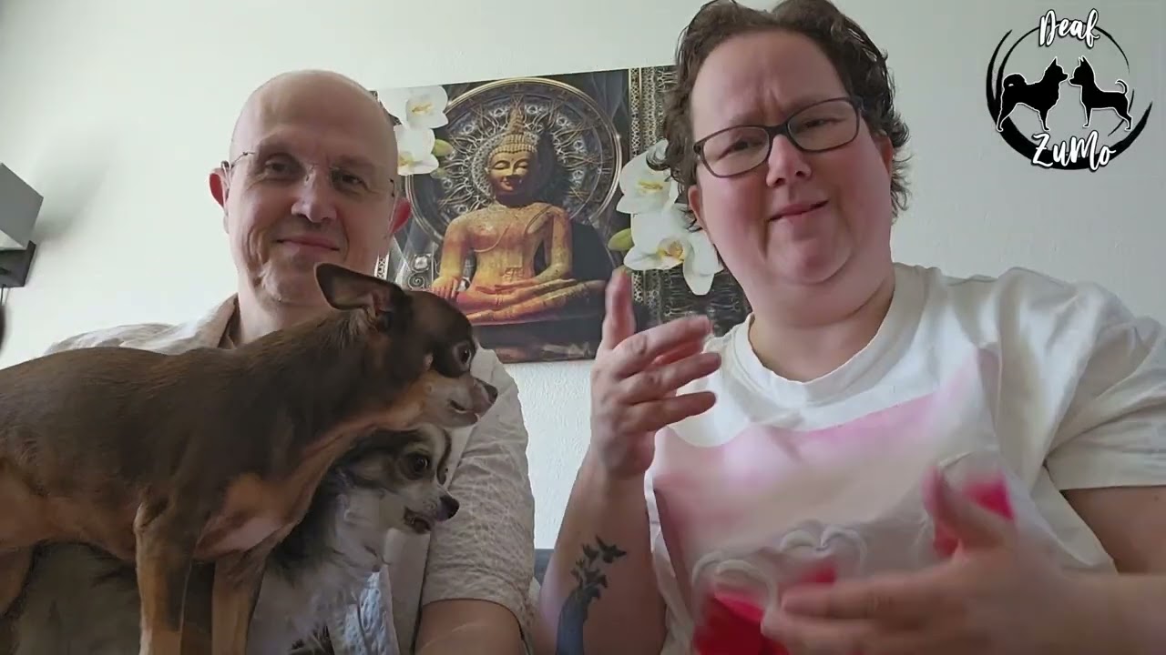 5e verjaardag van onze hondje Zuma