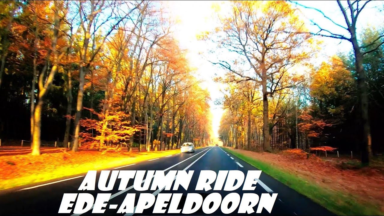 Netherlands 🔴 Ede to Apeldoorn - Autumn Drive