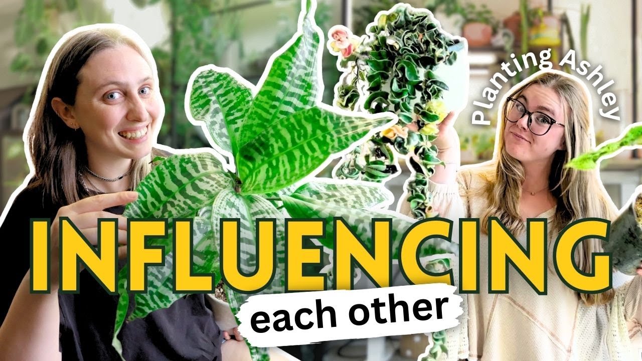 Trying to Sell Each Other on Our Plant Obsessions 🪴