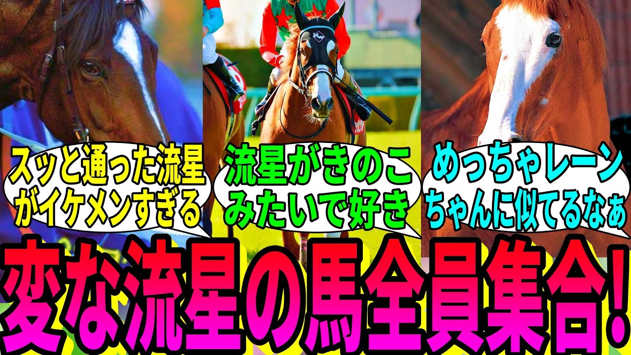 【競馬の反応集】「特徴的な流星の馬をいっぱい見たい」に対する視聴者の反応集