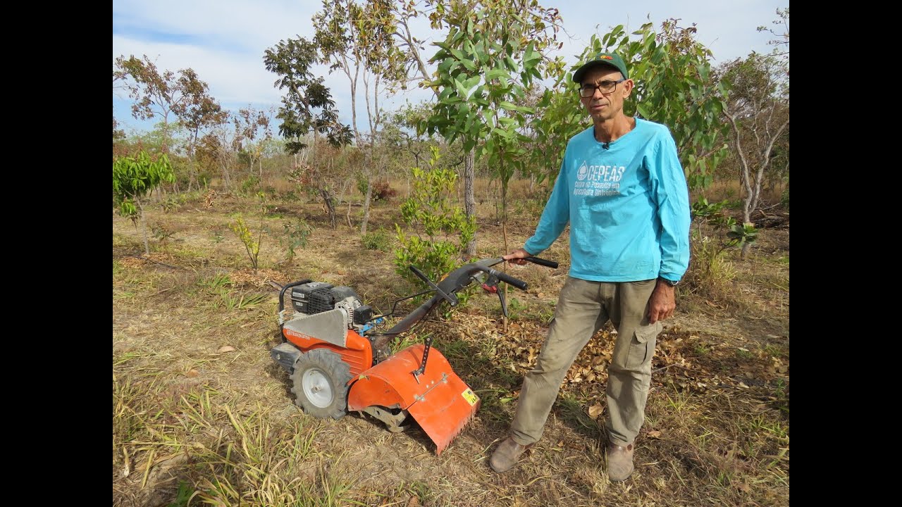 Aração em faixas - strip tillage - na agricultura sintrópica.