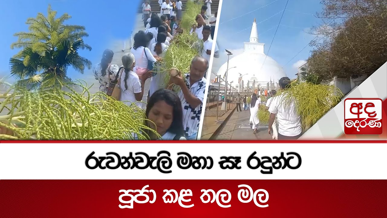රුවන්වැලි මහා සෑ රදුන්ට පූජා කළ තල මල | Ada Derana