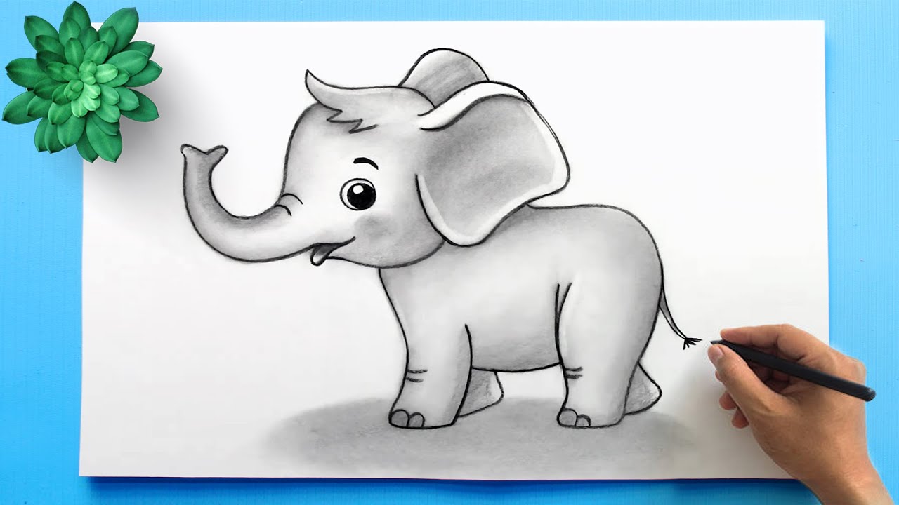 Cute Baby Elephant Drawing