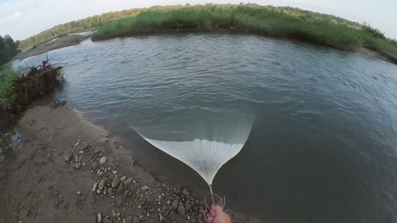 Шикарный улов на Кастинговую сеть! И удивительные места на р. Лаба!!!
