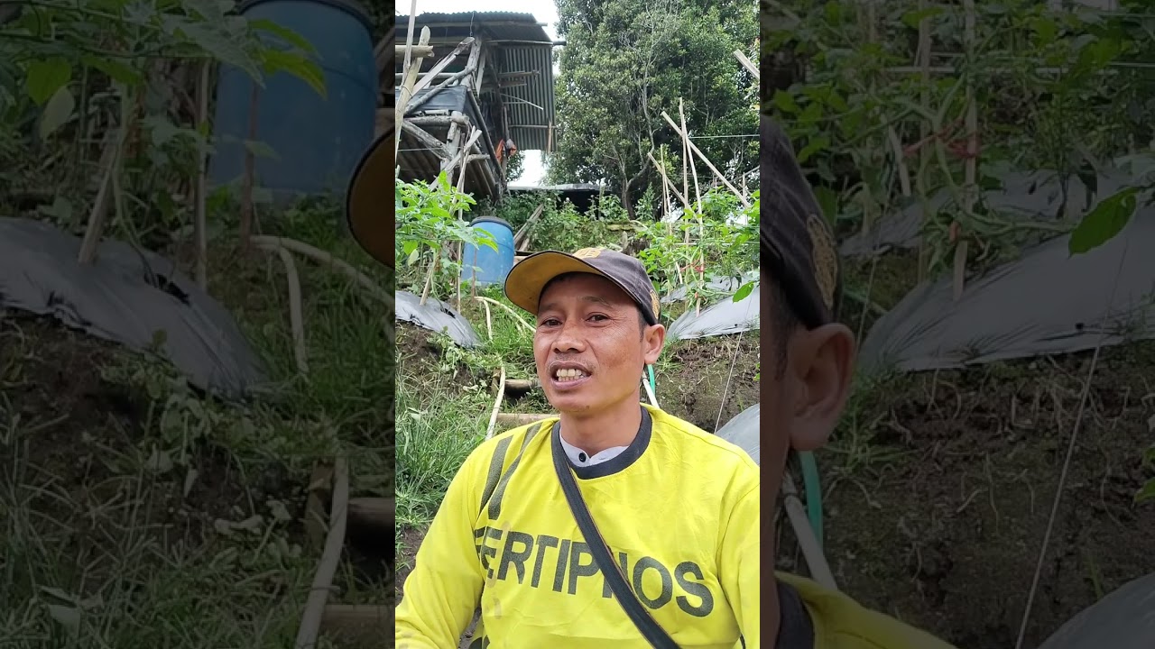 #edukasi cepat ter bayar utang
