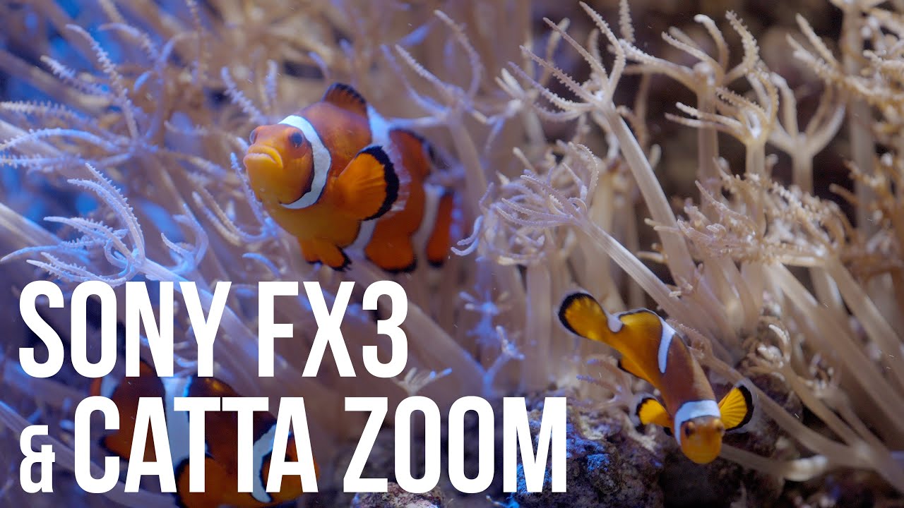 Sony FX3 and DZOFilm Catta 70-135mm T2.9 Zoom Lens test footage