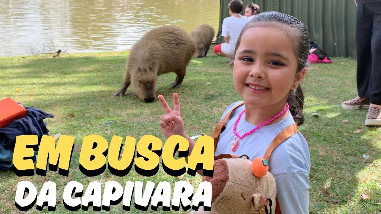 Em busca da Capivara!!