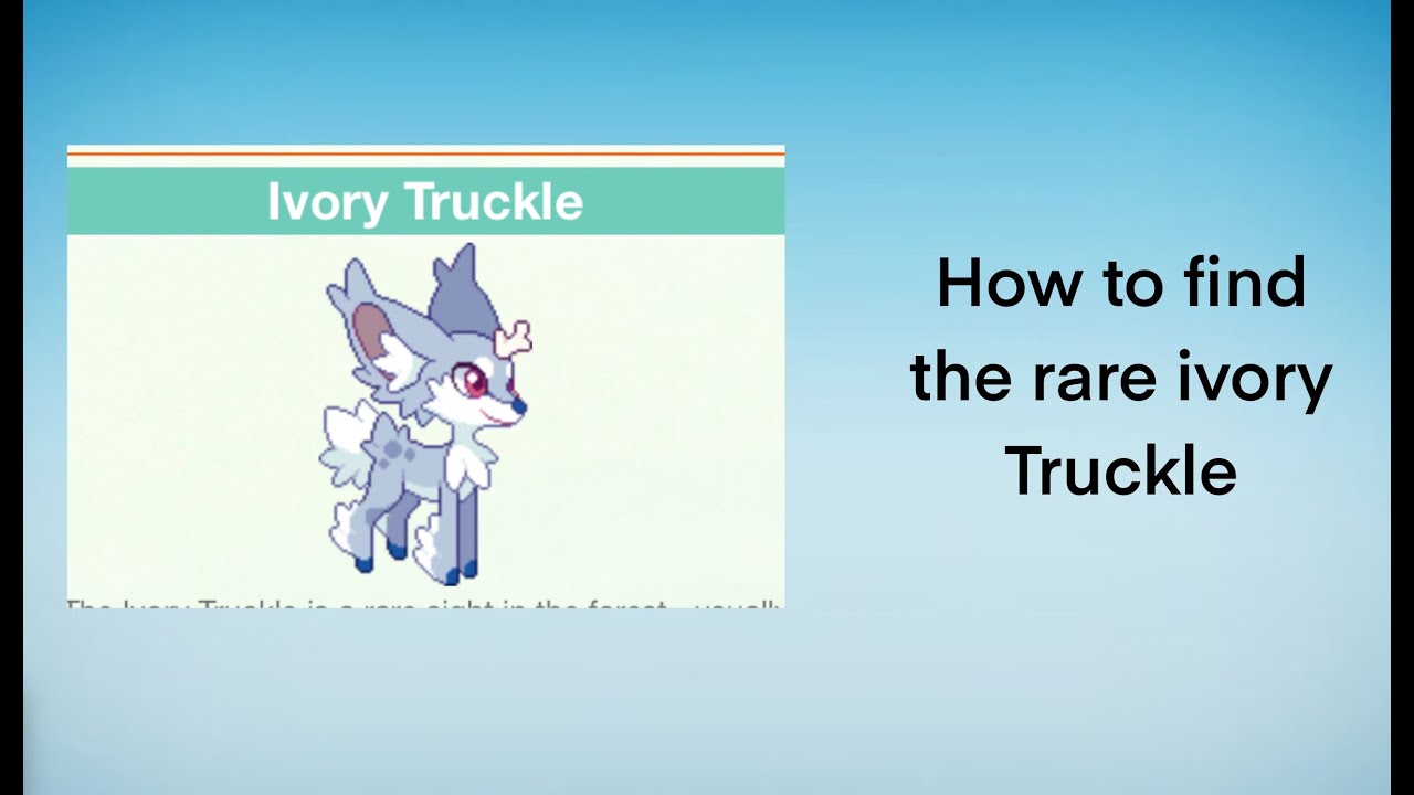 how to find the rare ivory truckle in prodigy!