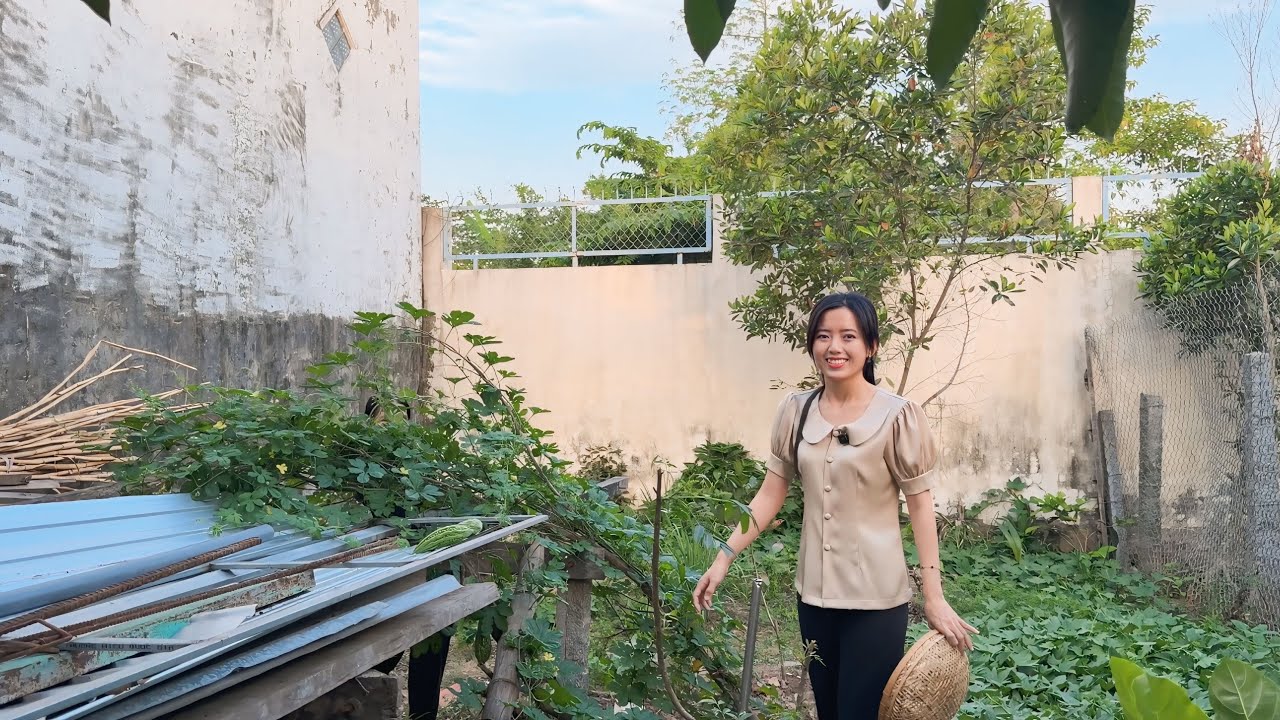 Chiều Ra Thăm Khu Vườn Nhỏ Hái Rau, Nấu Lẩu Ếch Mời Cả Nhà | NĐMT#837