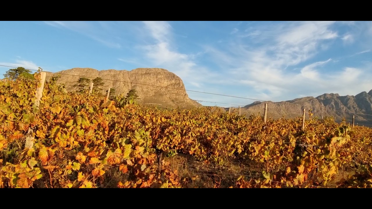 Sunset in Franschhoek | Cape Winelands | South Africa | Wine Gourmet Travel